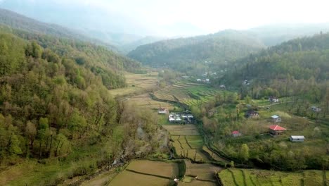 Wide-view-of-agriculture-tourism-local-people-live-native-house-in-the-middle-of-forest-mountain-hill-rice-paddy-sunset-time-hazy-afternoon-in-Iran-Travel-road-trip-nature-outdoor-activity-Hyrcanian