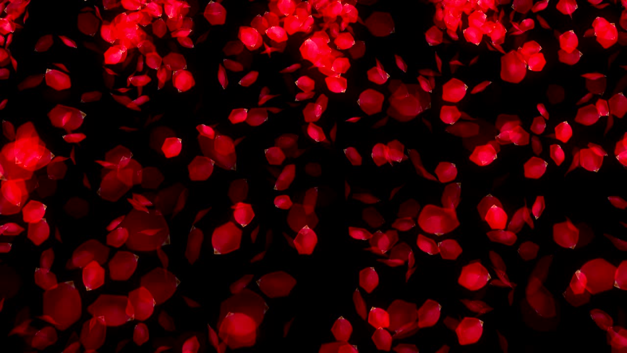 검은 바탕에 떨어지는 장미 잎자루