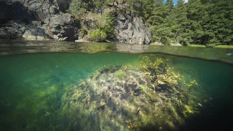 fjord over and under water split view