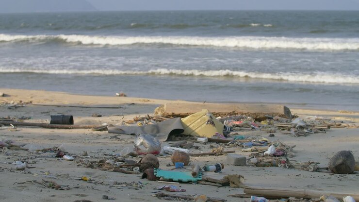 Trash Washed Ashore on Beach