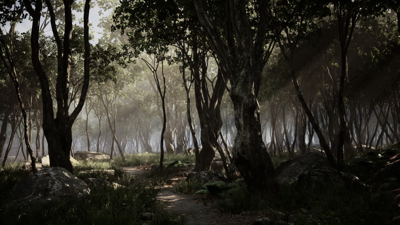 profunda jungla tropical en la oscuridad