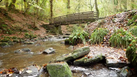 wooden bridge crossing over natural flowing mountain stream in autumn forest woodland wilderness low right dolly