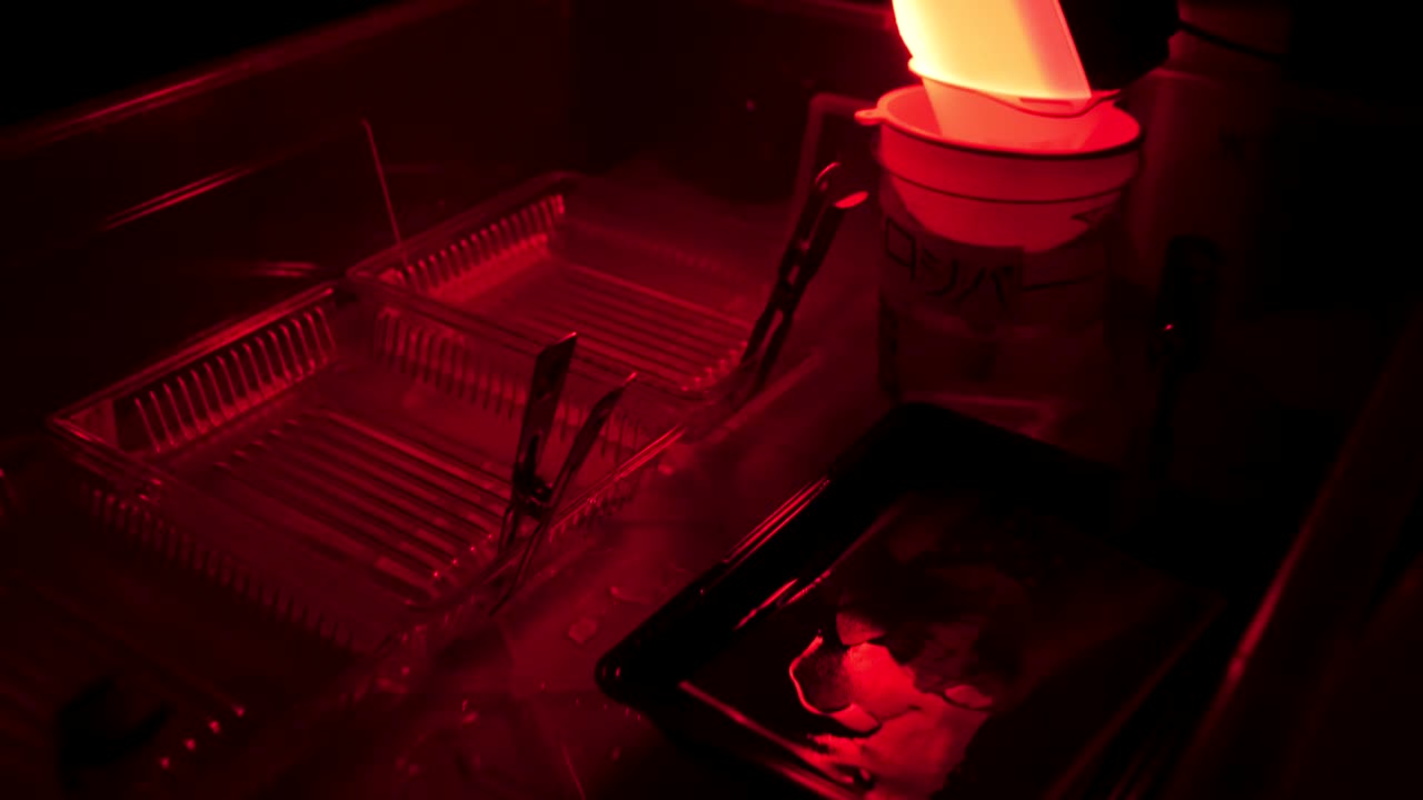 configuración de cámara oscura para el procesamiento fotográfico