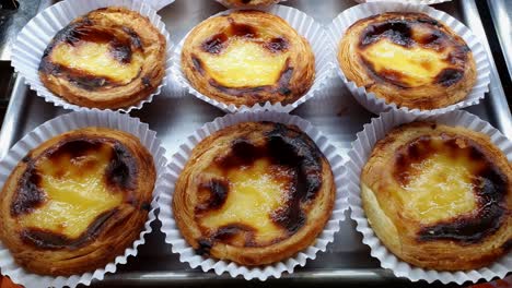 belem egg tarts being displayed at a brazilian bakery showcase.