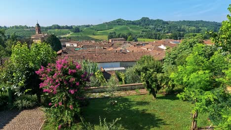 panoramic view of vineyard and countryside landscape