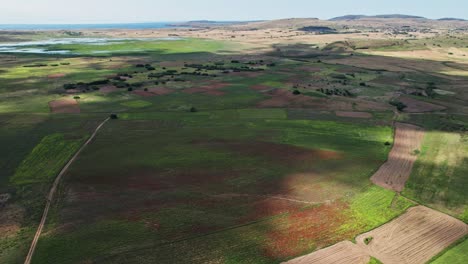 las grandes nubes proyectan enormes sombras oscuras sobre las praderas verdes anaranjadas rojas de las parcelas agrícolas en el campo