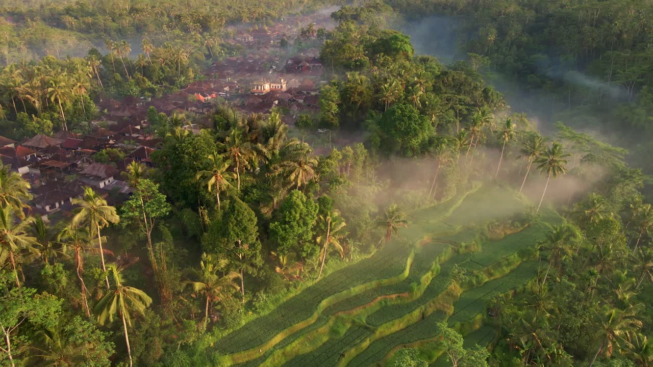 pintoresco paisaje icónico tranquilo con aldea cultural junto a campos de arroz brumosos filmados desde drones en bali, indonesia