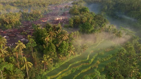 scenic calm iconic landscape with cultural village next to foggy rice fields filmed from drone in bali, indonesia