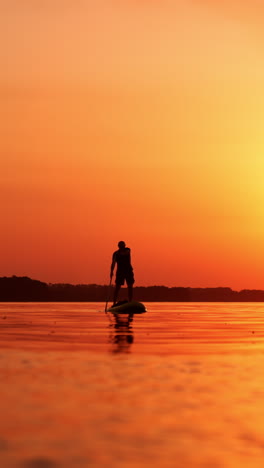 man uses a paddle to float by the river. sportsman stands on the sup board approaching camera. sunset at backdrop. vertical video