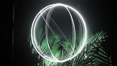 animation of glowing geometric light sphere hovering over green palm leaves