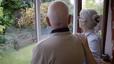 elderly man with nurse looking out window