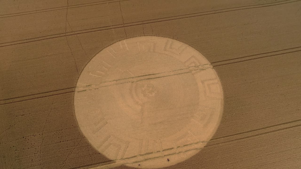 Aerial view circling cultivated rural farmland with remains of golden crop circle pattern, Devizes
