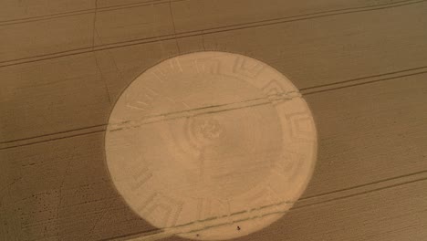 aerial view circling cultivated rural farmland with remains of golden crop circle pattern, devizes