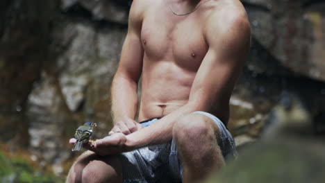 small tropical bird eats out of man's palm with waterfall in background