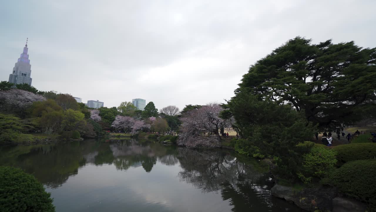 日本神戸国立公園 桜の季節