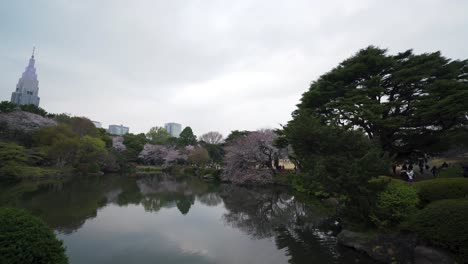 edificio docomo yoyogi del jardín nacional shinjuku gyoen japón 4k durante la temporada de flor de cerezo sakura