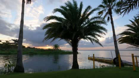 Sonnenuntergang-über-Dem-Sumpf-Mit-Silhouettierten-Palmen-Und-Vögeln