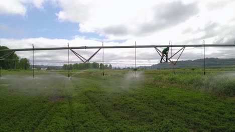 center pivot crop irrigation system with water sprinklers - drone shot