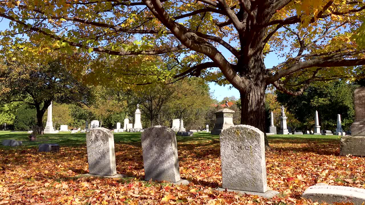 단풍과 오래된 비석 4k