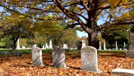 autumn leaves and old headstones 4k