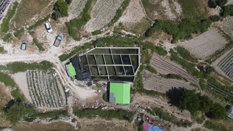vista aérea de la vegetación del estanque de peces