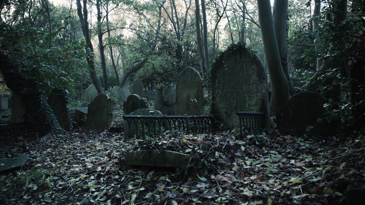 Una vecchia tomba ricoperta di vegetazione in un cimitero autunnale.