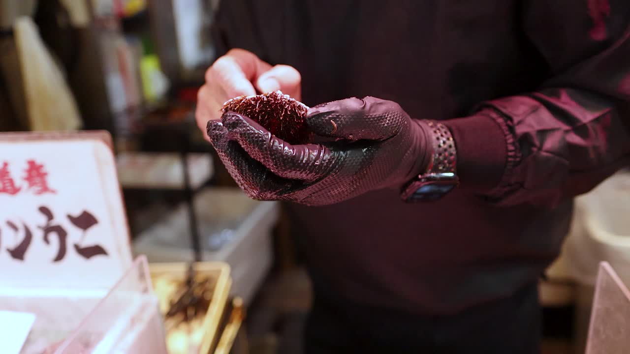 A chef in black gloves meticulously cleans raw sea urchin using tweezers at a market