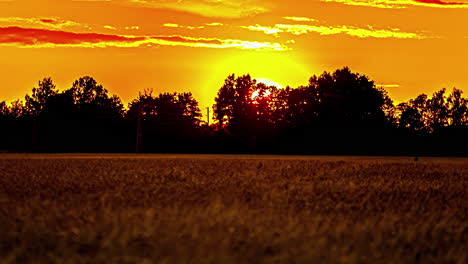 Zeitraffer:-Sonnenuntergang-Hinter-Umrissenen-Bäumen-Und-Einem-Getreidefeld