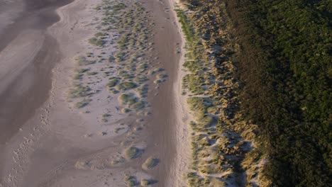 tide exposing seabed in slikken van voorne bay in sunset glow - aerial flight