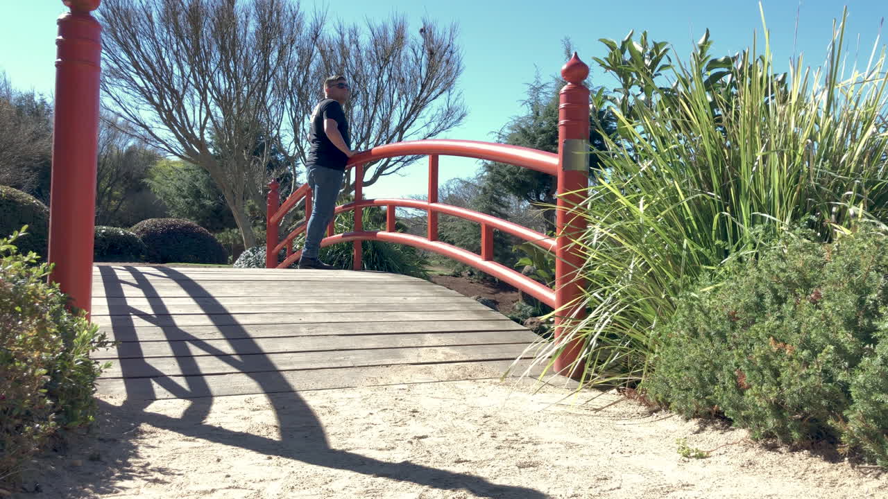 hombre caminando por un camino de grava que conduce al puente rojo y mira sobre el estanque, ju raku en jardín japonés, toowoomba, australia
