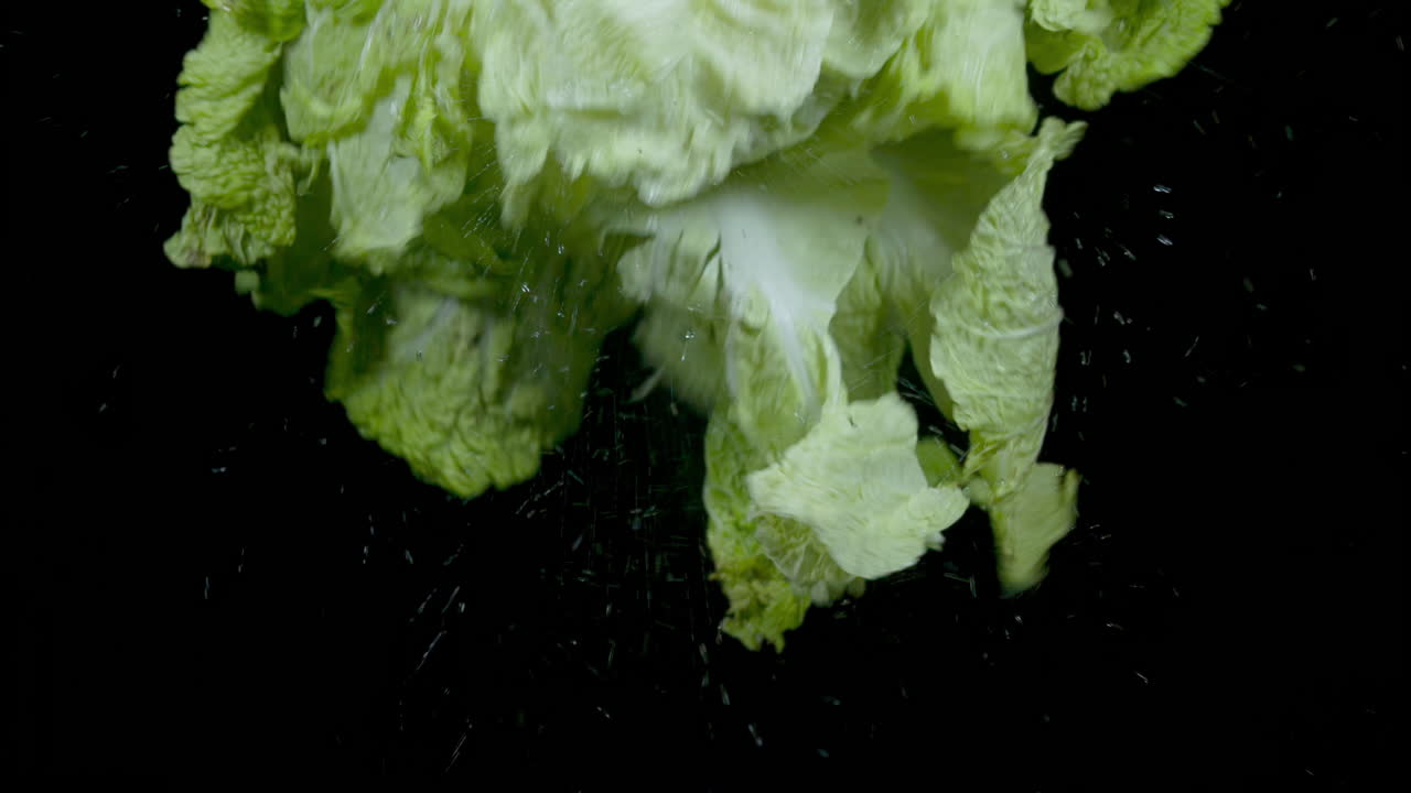 Shaking wet salad in slow motion on black background