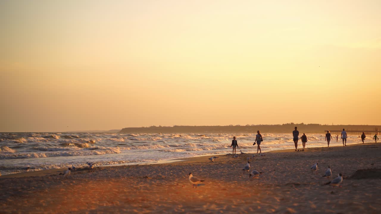Evening sea with people and seagulls walking on shore. Many people go along the coastline at sunset. Seagulls trying to find food on beach.
