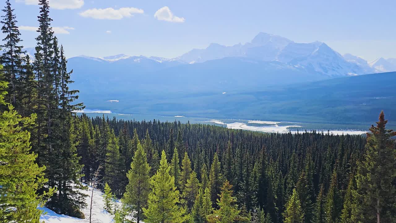 Vista montana in stile Parco Nazionale Jasper si affaccia su una fitta foresta di conifere e canali fluviali serpeggianti, con cime innevate e una vasta natura selvaggia che creano un suggestivo paesaggio canadese.