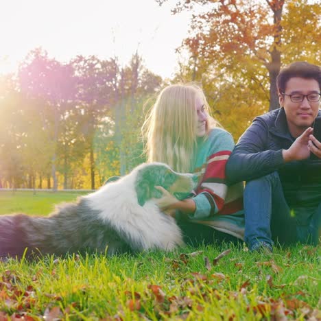 joven pareja multiétnica relajándose en el parque con su perro 5