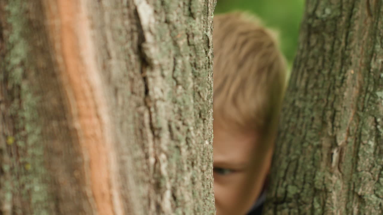 Un garçon innocent observe à travers les branches. Un jeune élève sourit en jetant un coup d'œil derrière les arbres. Un enfant timide est joyeux alors qu'il se cache au milieu d'un environnement de cour d'école animé avec un sourire joyeux.