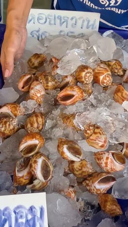 manos clasificando mariscos en hielo en el mercado