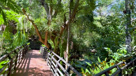 los visitantes caminan a través de un jardín vibrante y verde