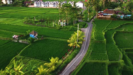 Beautiful-rice-fields-around-Ubud,-Bali,-Indonesia