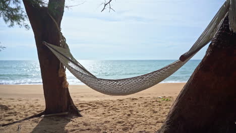 an empty hammock hung between two trees shifts in the breeze over the sand of an empty beach