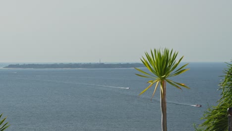 Tropischer-Garten-Mit-Meer-Im-Hintergrund