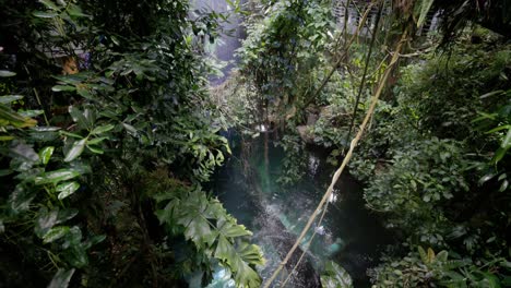 Conservatorio-De-La-Selva-Tropical-En-Slomo