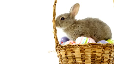 huevos de pascua y conejo de pascua en una canasta de mimbre
