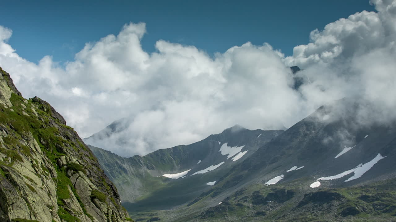 세인트 버나드 02