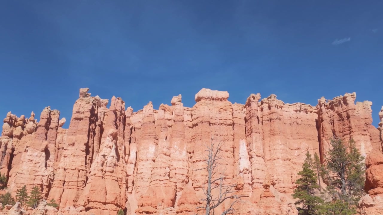 Una parete di hoodoos colorati nel Parco Nazionale di Bryce Canyon