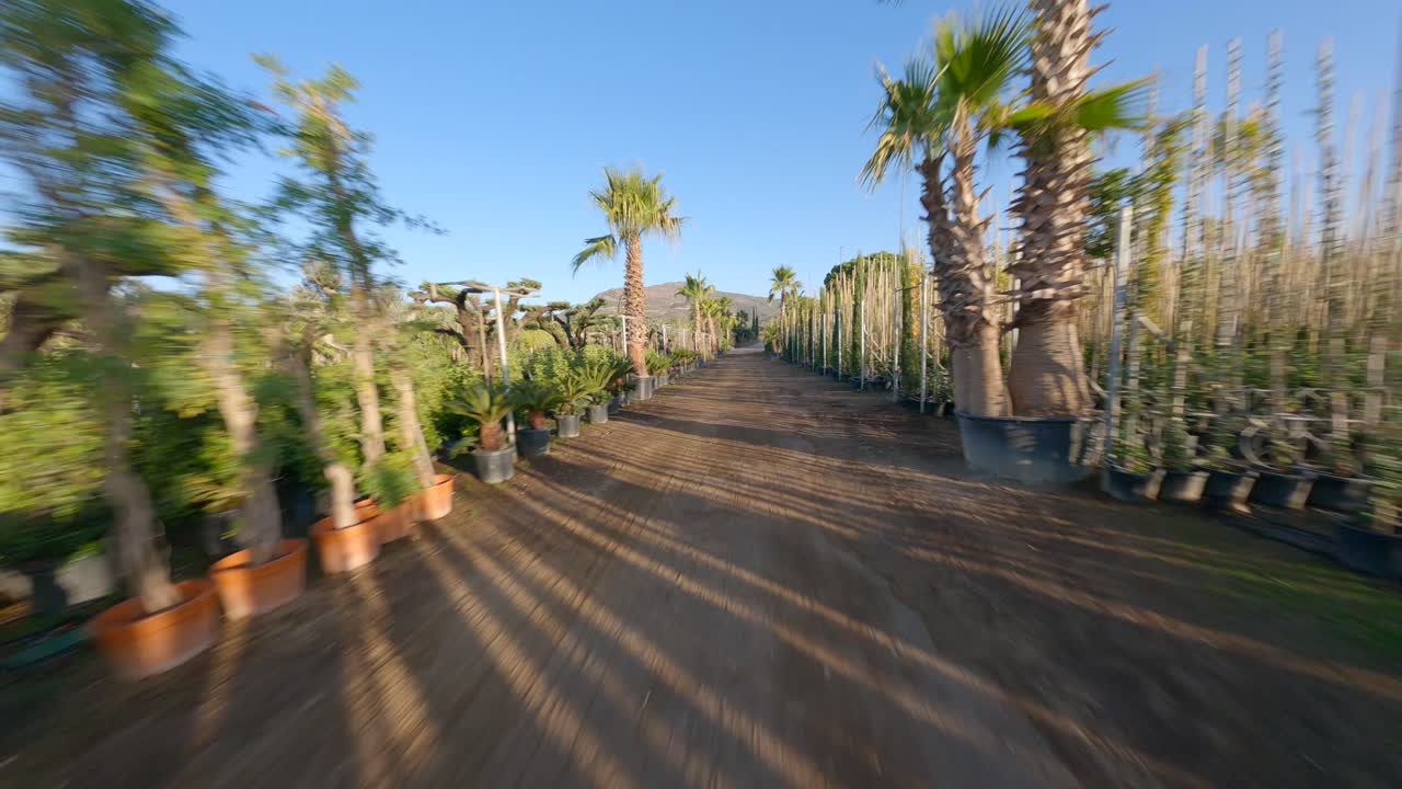 botanical garden full of trees and plants