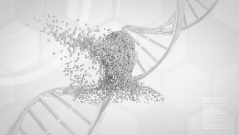 cadena de adn en 3d y cabeza humana en movimiento