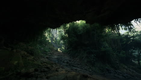 la luz del sol brillando a través de una cueva de la jungla