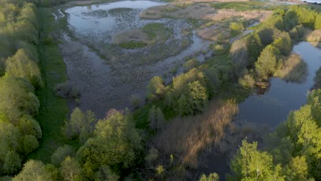 marshlands wilderness in nature park of latvia countryside - aerial drone view