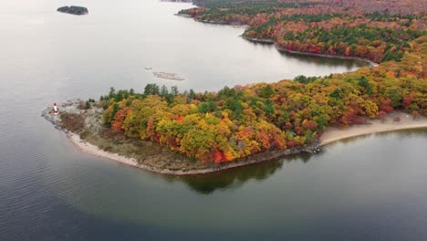 killbear provincial park aerial view rising back establishing colourful golden autumn woodland forest landscape