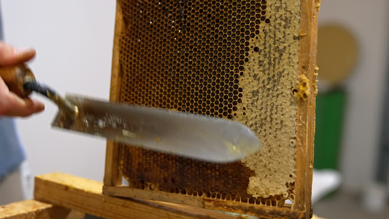 Electric knife cutting off the tops on the honeycombs filled with liquid fresh organic honey. Apiarist prepares the frames for honey removal.